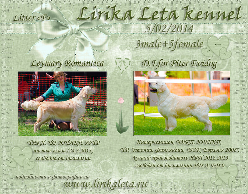 lirika2014-11.jpg