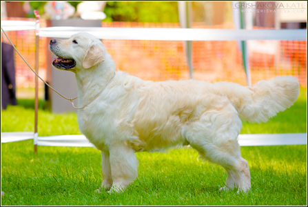 IntCh. D.J. for Piter Evidog IntCh. D.J. for Piter Evidog